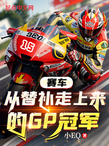 赛车 冠军