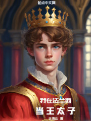 我在法兰西当王太子无防盗