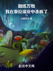 融练万物,我在泰拉瑞亚中杀疯了