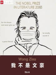 我不是文豪起点