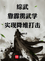 综武靠霹雳武学实现降维打击笔趣