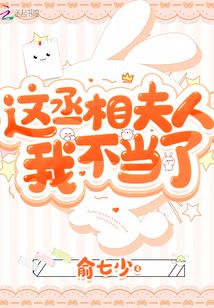 这丞相夫人我不当了晋江