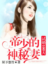 试婚100天:帝少的神秘妻全文免费阅读