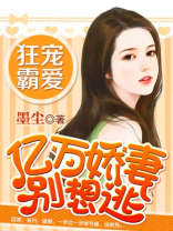 亿万千妻又要逃