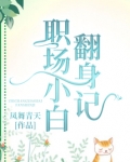 职场小白翻身记