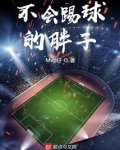 不会踢球的胖子