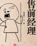 售前经理