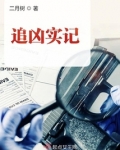 追凶实记