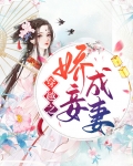 穿越之娇妾成妻