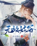 无敌姑爷