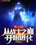 光之国:从战士之巅开始进化