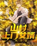 山村上门女婿