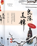 良陈美锦