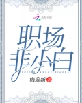 职场非小白