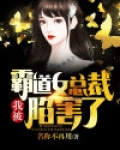 我被霸道女总裁陷害了