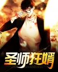 圣师狂婿