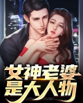 女神老婆是大人物