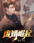 废婿崛起