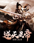 逆天灵帝