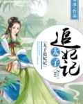太子追妃记