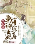 凰权弈:战神王妃有点毒