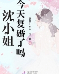 沈小姐今天复婚了吗